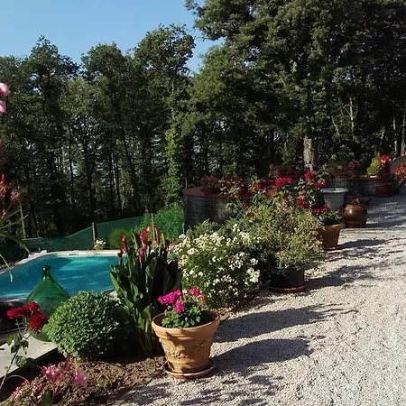 Pellegrino Tuoro sul Trasimeno