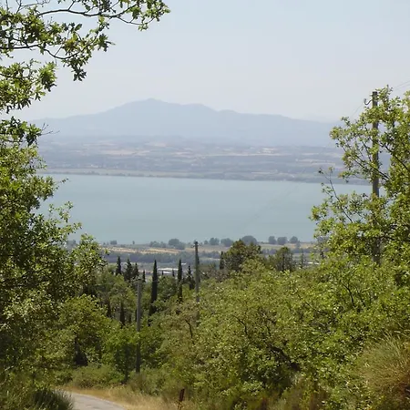 Pellegrino Tuoro sul Trasimeno